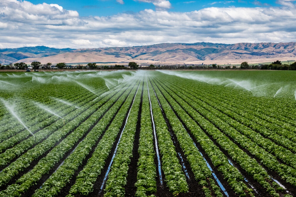 Irrigation